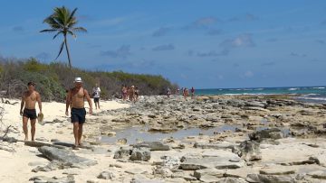 Vuelta a la Isla Terrestre